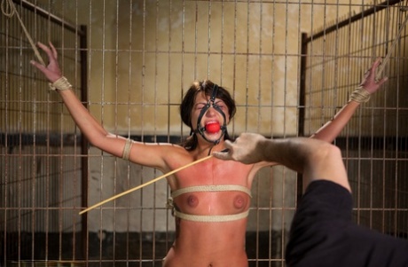 The Training Of O starring Cassandra Nix, Owen Gray Naked Images