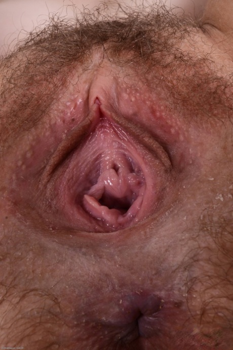 Hairy Close Up Pics