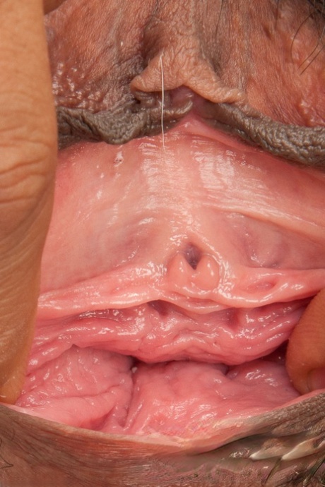 Hairy Close Up Pics